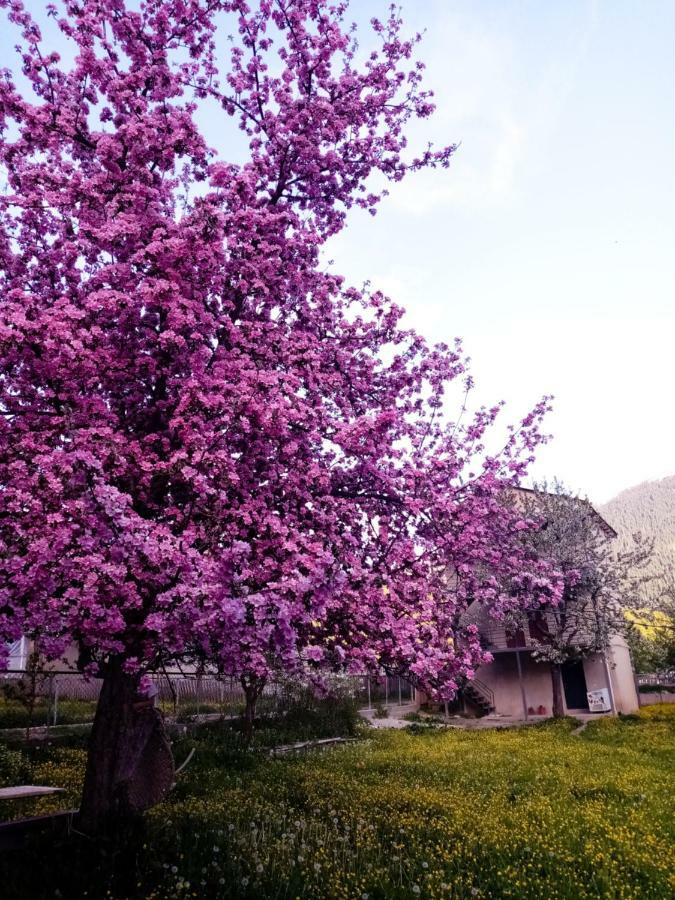 Saba Ξενοδοχείο Μέστια Εξωτερικό φωτογραφία